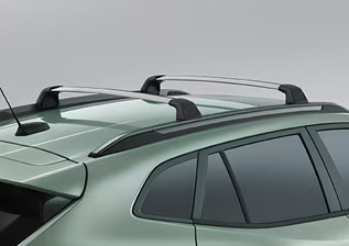 ROOF CARRIERS