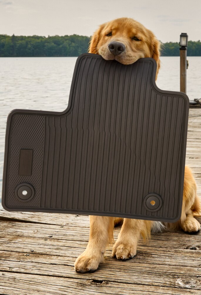 Golden Retriever with Floor Mat