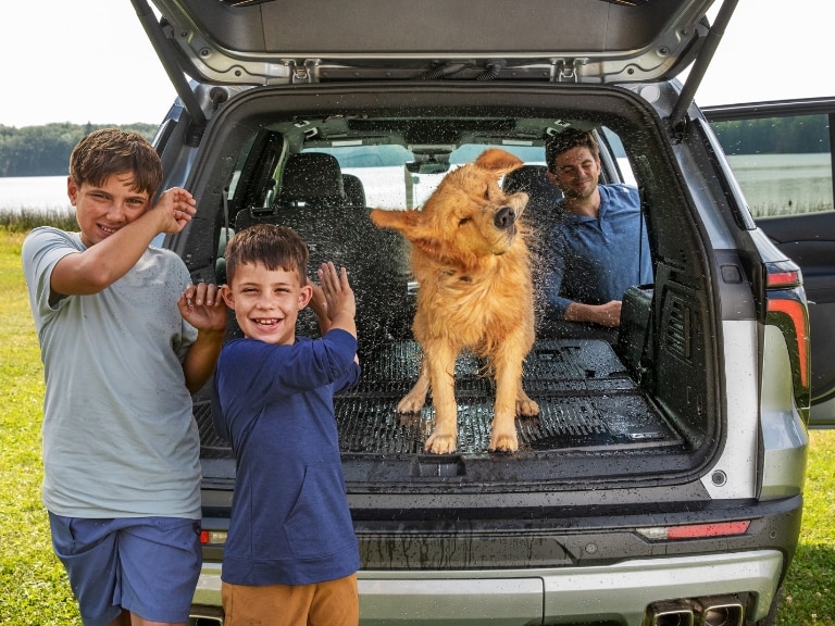 DOG DAYS